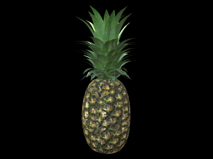 Pineapple 3D मॉडल
