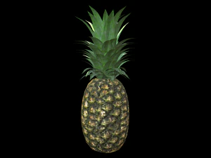 Ananas 3D Modell