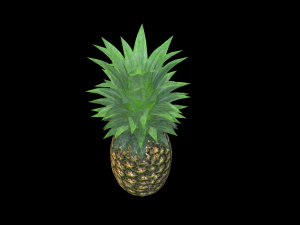 Pineapple 3D मॉडल