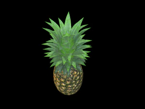 Ananas 3D Modell
