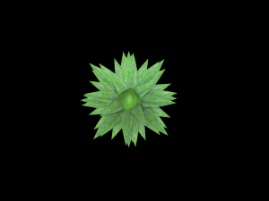 Pineapple 3D मॉडल