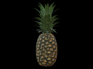 Pineapple 3D मॉडल