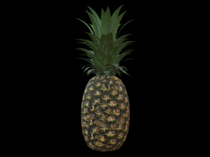 Ananas 3D Modell