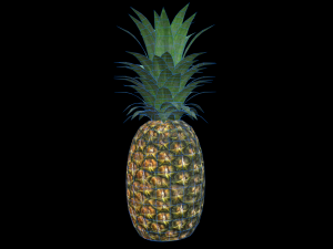 Pineapple 3D मॉडल