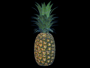 Ananas 3D Modell