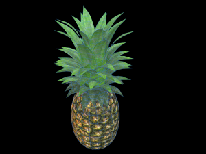Pineapple 3D मॉडल