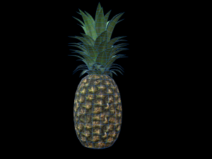 Pineapple 3D मॉडल