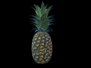 Ananas 3D Modell