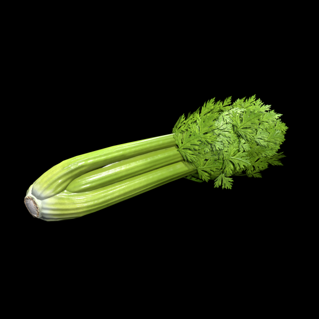 Celery 3D 모델 .c4d .max .obj .3ds .fbx .stl .blend 