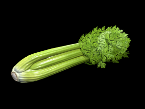 Celery 3D 모델