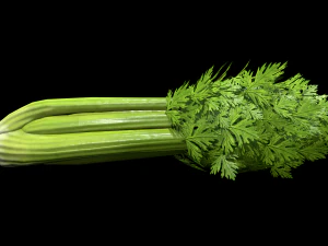 Sals&atilde;o Modelo 3D