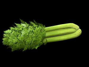 Sals&atilde;o Modelo 3D