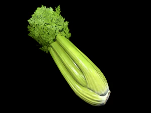 Sals&atilde;o Modelo 3D