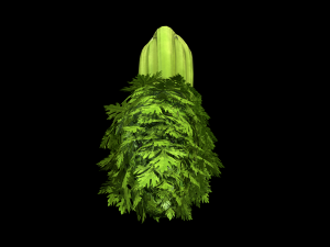 Celery 3D 모델