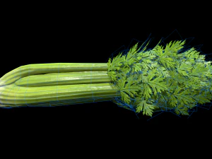 Sals&atilde;o Modelo 3D