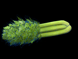 Sals&atilde;o Modelo 3D