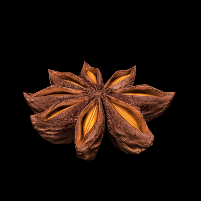 AniseStar 3D 模型 .c4d .max .obj .3ds .fbx .stl .blend 