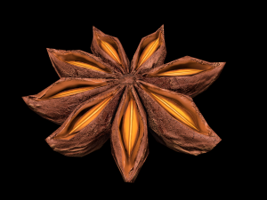 AniseStar 3D 模型