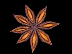 AniseStar 3D 模型