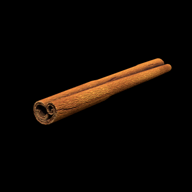 CinnamonStick 3D Model .c4d .max .obj .3ds .fbx .stl .blend