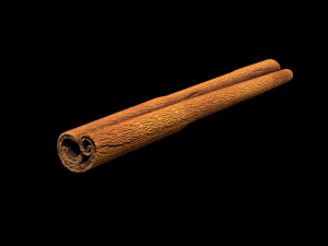 CinnamonStick 3D Model