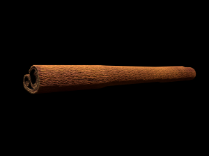 CinnamonStick 3D Model