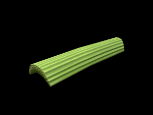 CelerySlice Modèle 3D