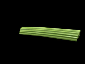 CelerySlice 3D Model
