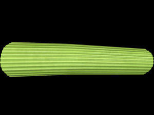 CelerySlice 3D-Modell