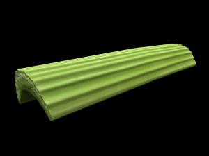 CelerySlice 3D-Modell