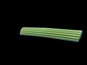 CelerySlice 3D-Modell
