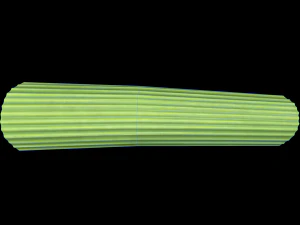 CelerySlice 3D Model