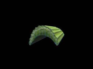 CelerySlice 3D Model