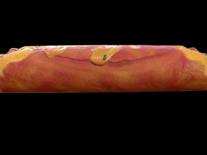 Beef Enchilada 3D Model