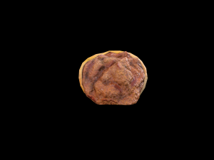 Beef Enchilada 3D Model