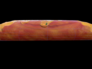 Beef Enchilada 3D Model