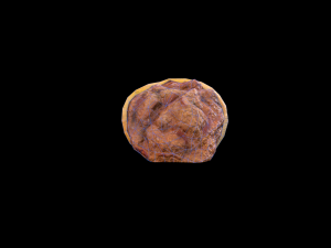 Beef Enchilada 3D Model