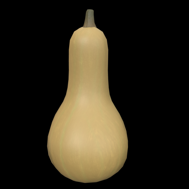 Squash Butternut 3D Model .c4d .max .obj .3ds .fbx .stl .blend 
