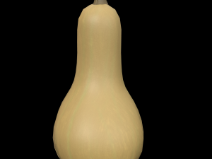 Squash Butternut Model 3D