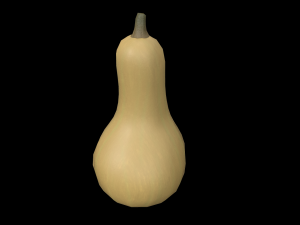 Squash Butternut 3D Model