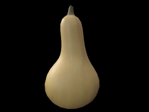 Squash Butternut 3D Model