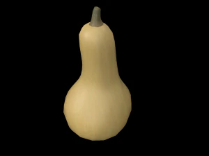 Squash Butternut 3D Model