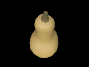 Squash Butternut 3D Model