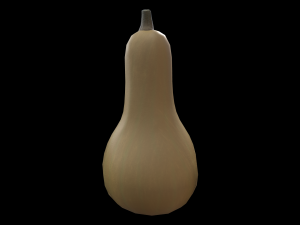 Squash Butternut 3D Model