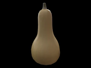 Squash Butternut 3D Model