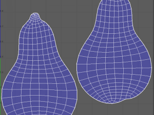 Squash Butternut 3D Model