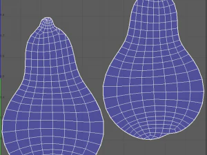 Squash Butternut 3D Model