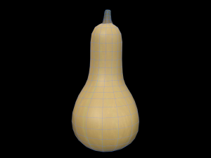 Squash Butternut 3D Model