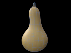 Squash Butternut 3D Model