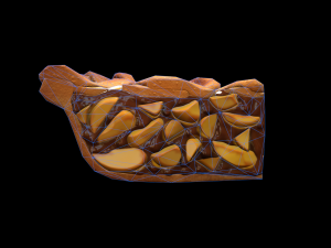 PiePeach Piece Modello 3D